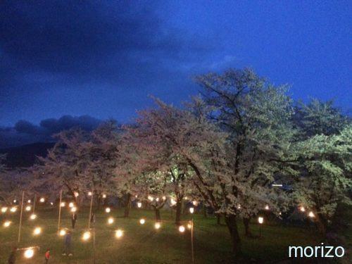 飯山城址公園 桜の名所 花見・夜桜の穴場スポットです!